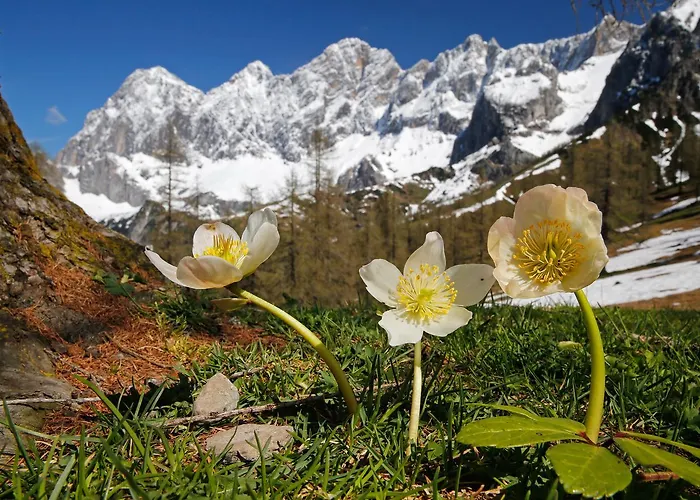 Rössl-dependance Neue Post Hotel